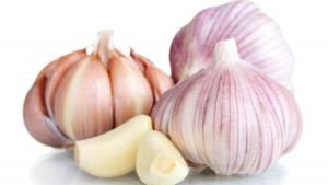 fresh garlic isolated on white