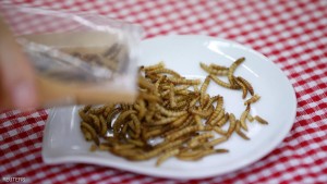 Edible mealworms are seen in Seoul