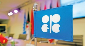 FILE PHOTO: A flag with the OPEC logo is seen before a news conference in Vienna